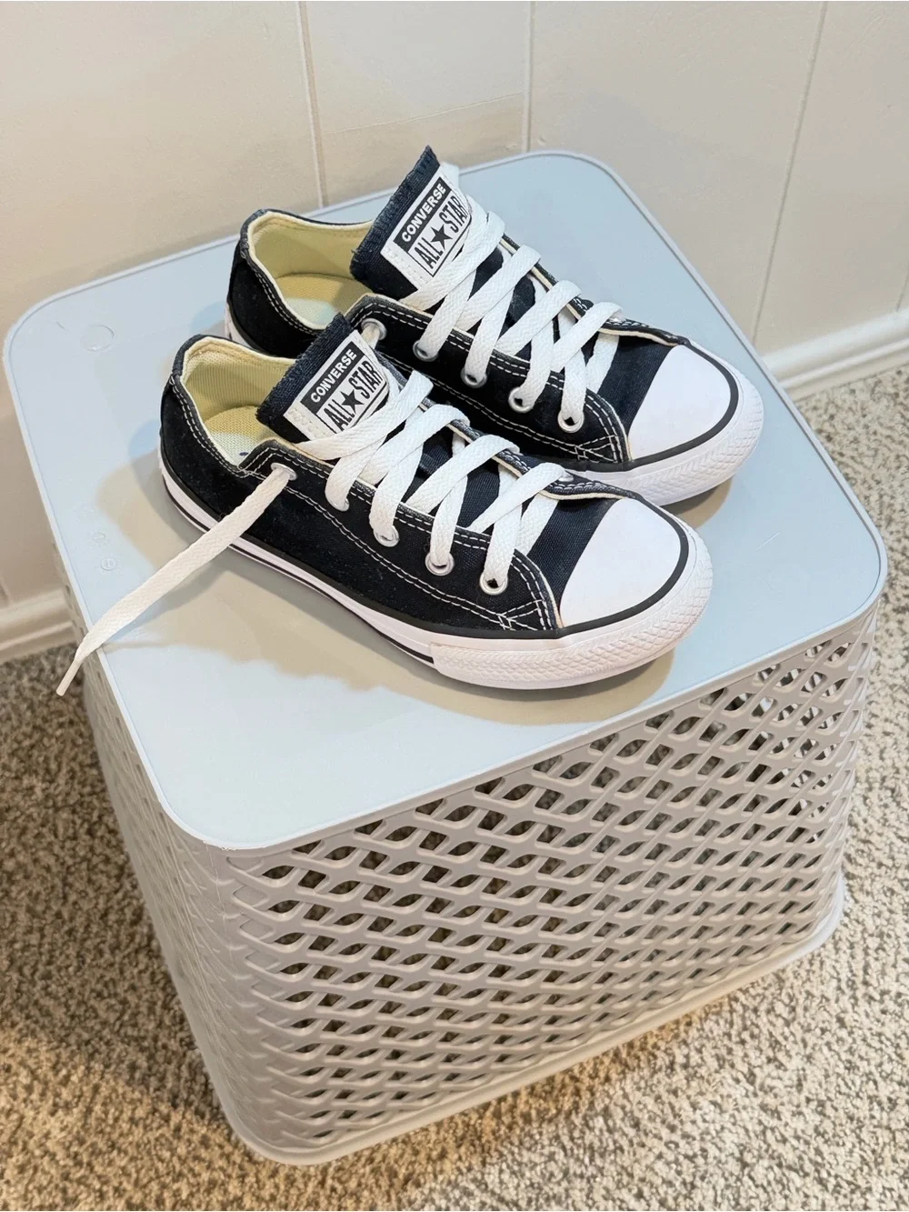 Converse Black & White Low-Top Canvas Sneakers